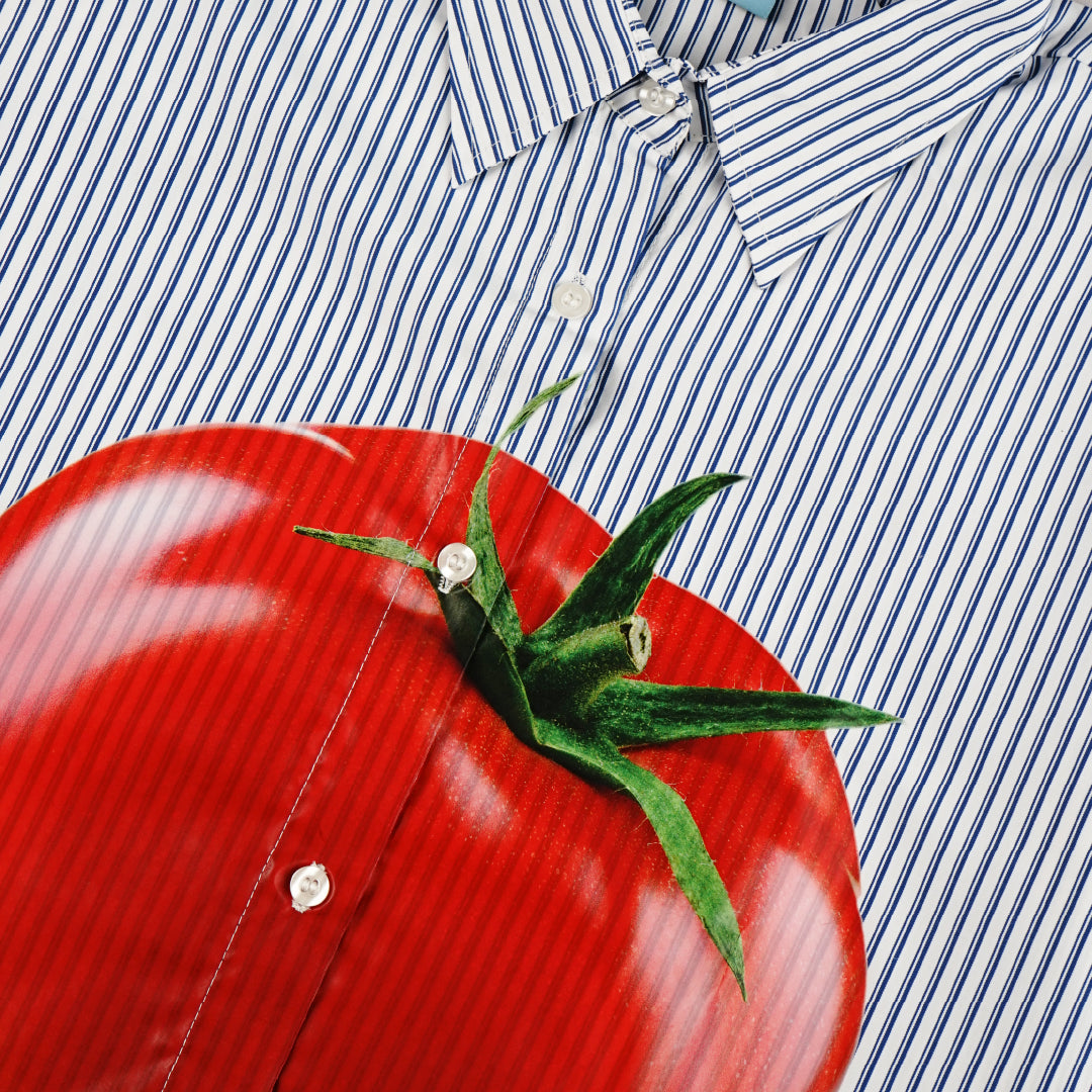 Tomato Twinkle Stripes Shirt - White/Blue