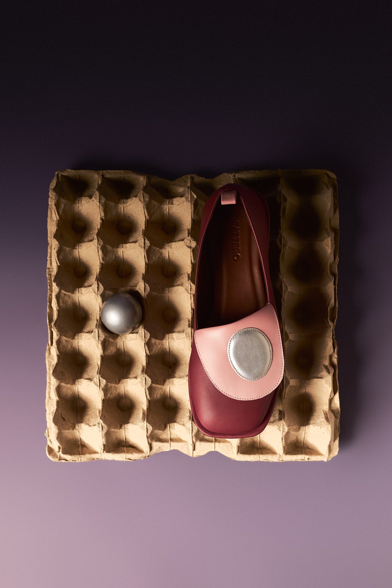 Serenade of Opera Flat Shoes - Maroon/Pink - Silver
